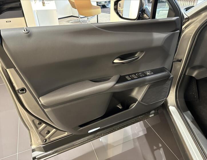 Lexus UX 250h 10