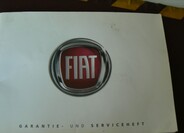 Fiat Punto 17