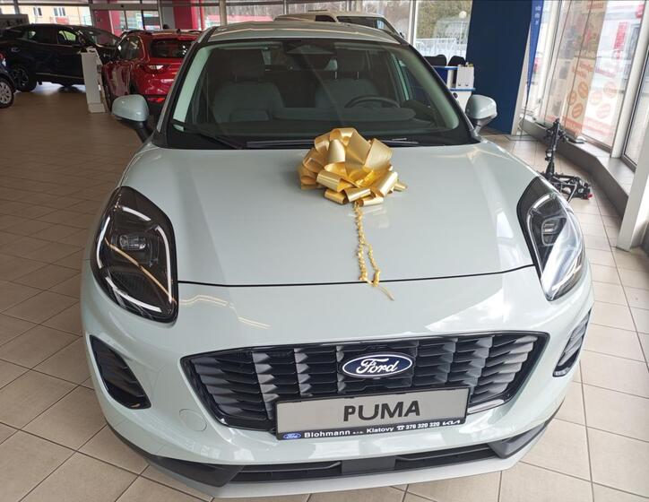 Ford Puma 31