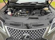 Lexus RX 300 18