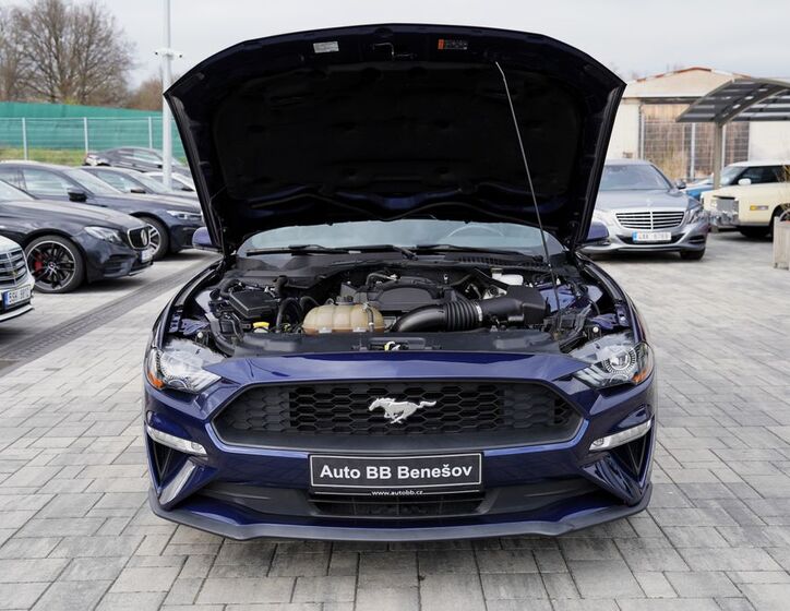 Ford Mustang 17