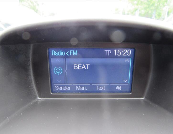 Ford Fiesta 16