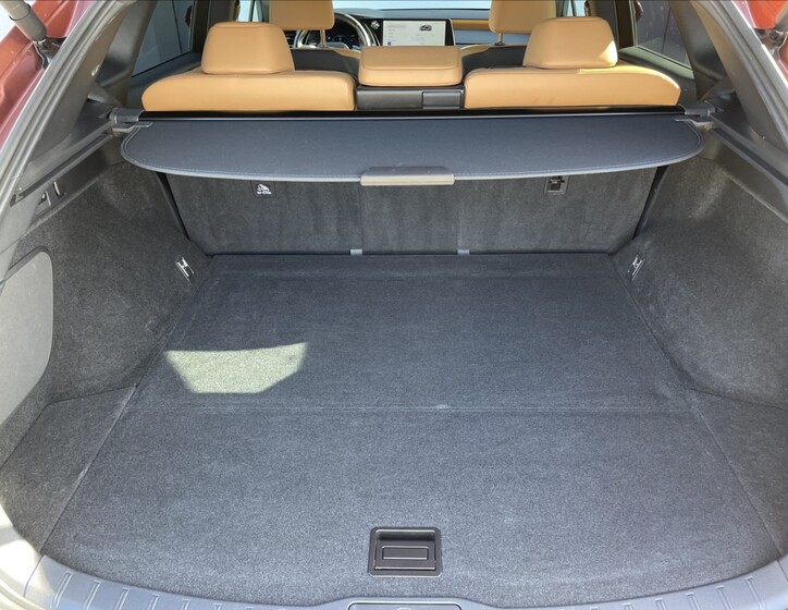 Lexus RX 31