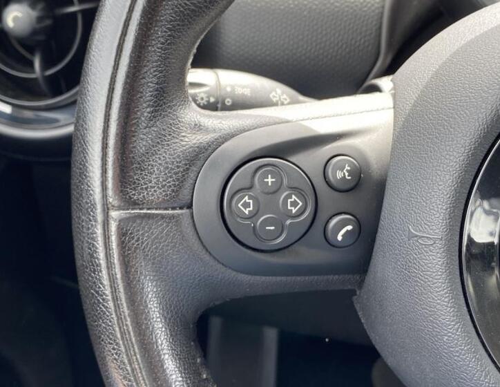 Mini Countryman 19