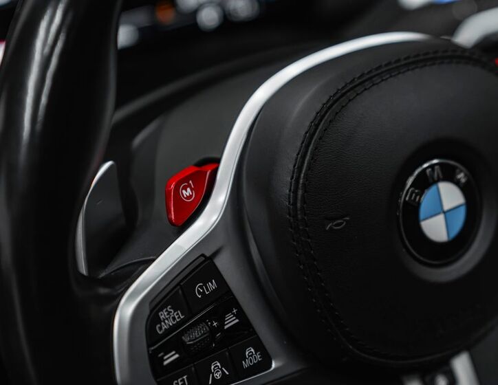 BMW X5 24