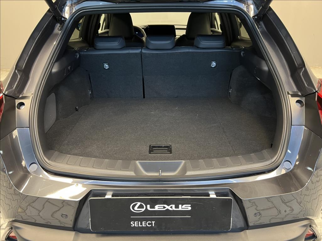 Lexus UX 300h