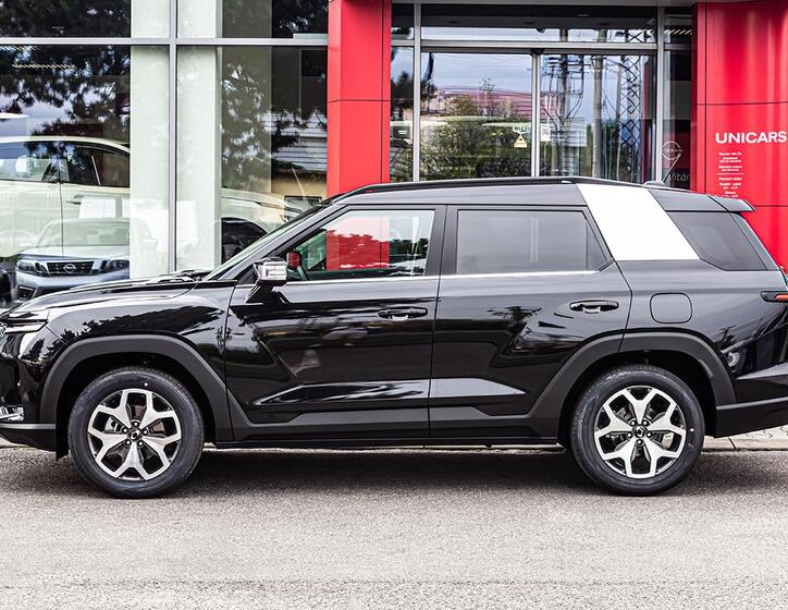 SsangYong Torres 8