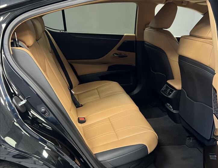 Lexus ES 300h 10