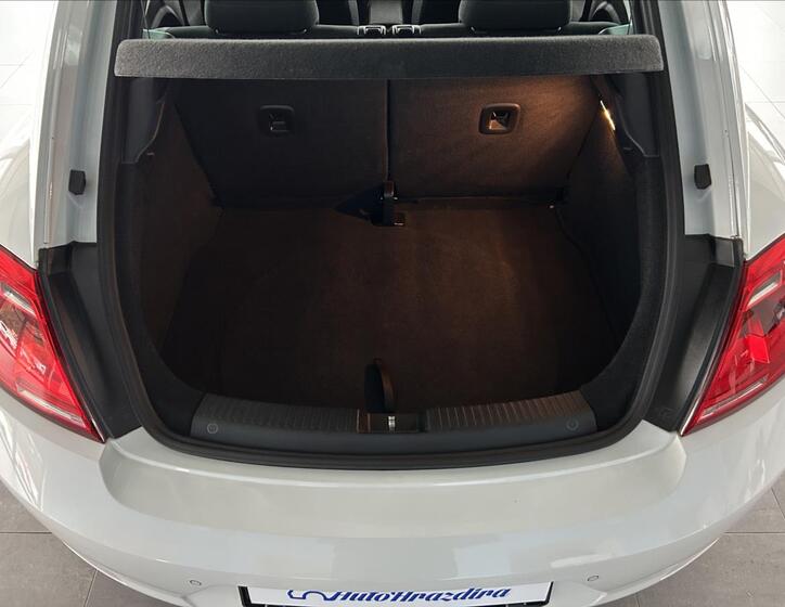 Volkswagen Beetle 23