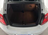 Volkswagen Beetle 23