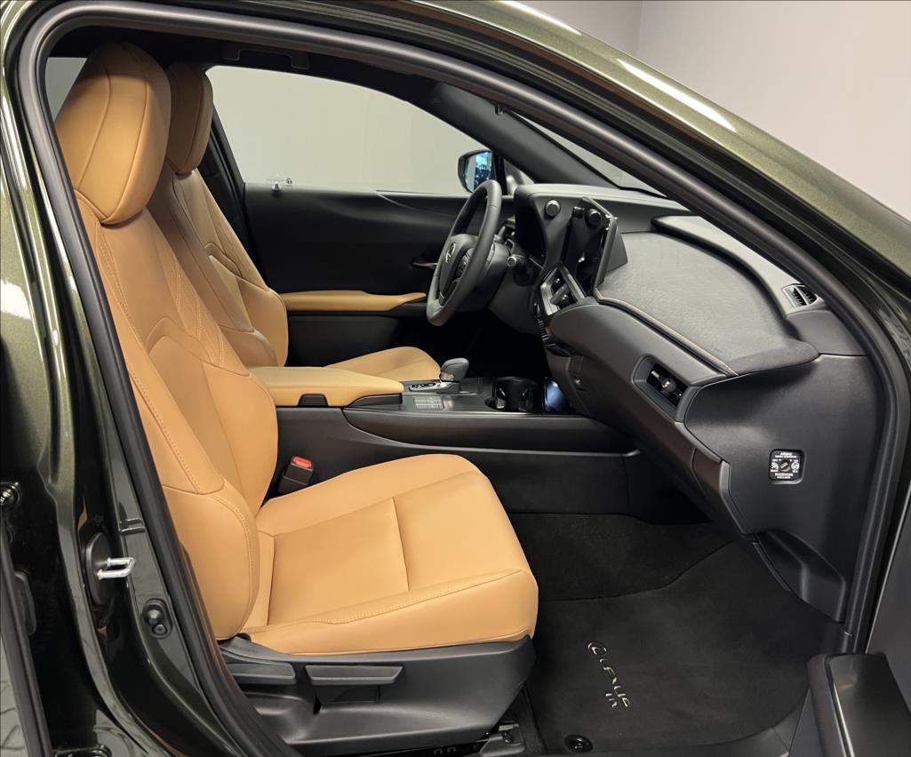 Lexus UX 300h