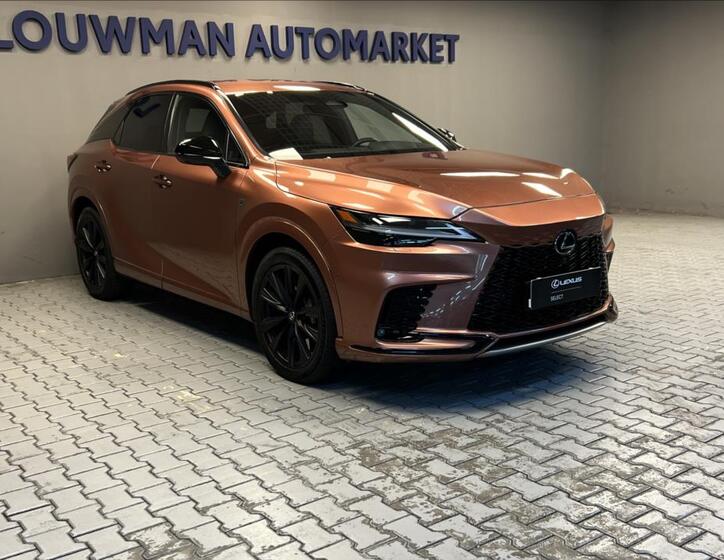 Lexus RX 500h 11