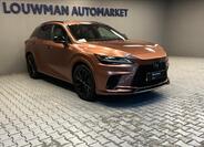 Lexus RX 500h 11