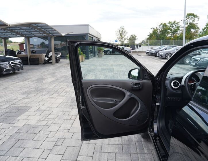 Smart Forfour 13