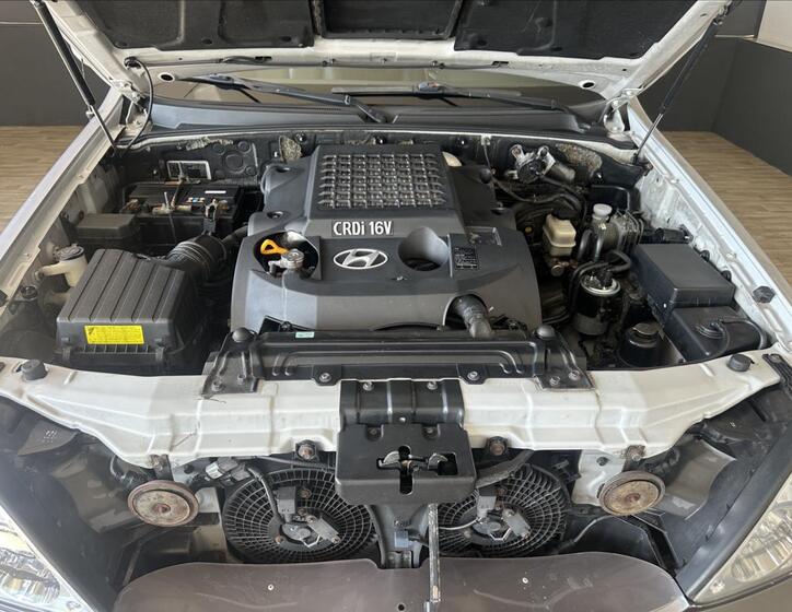 Hyundai Terracan 5