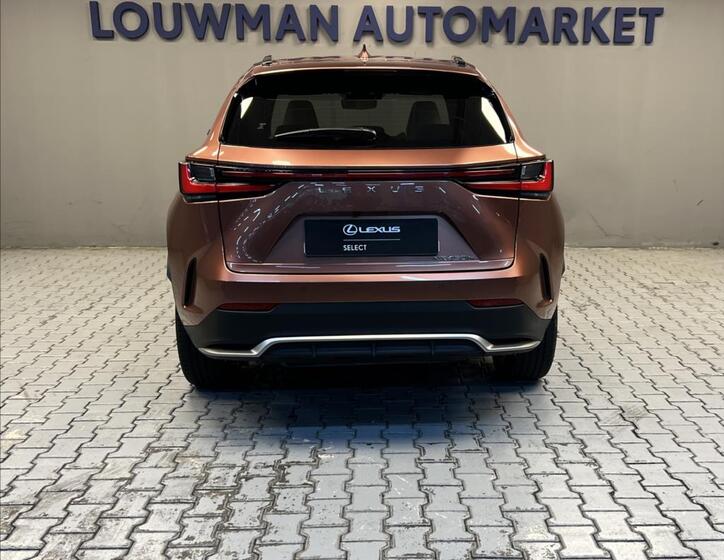 Lexus NX 450h plus 12