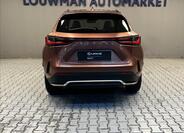 Lexus NX 450h plus 12