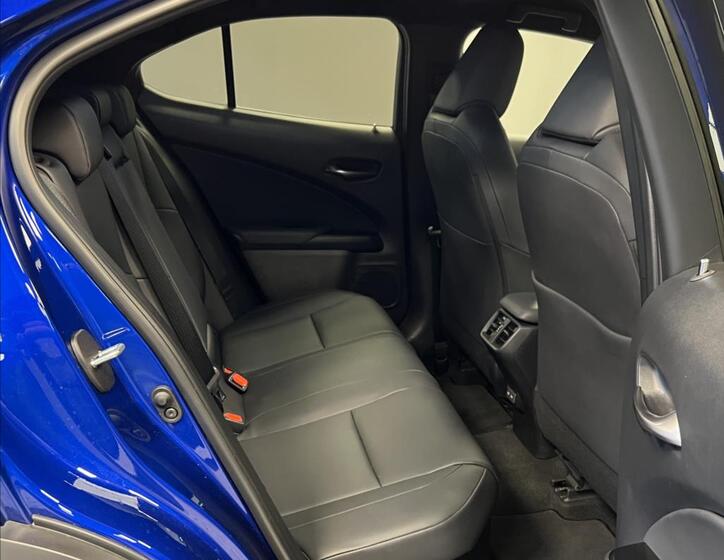 Lexus UX 300h 10