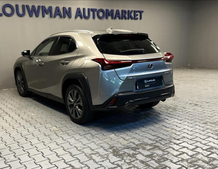 Lexus UX 300h 13