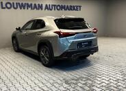 Lexus UX 300h 13