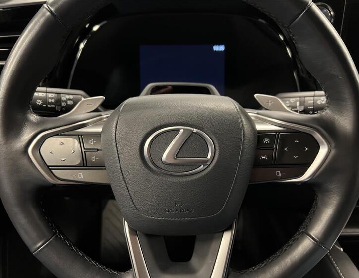 Lexus RX 350h 15