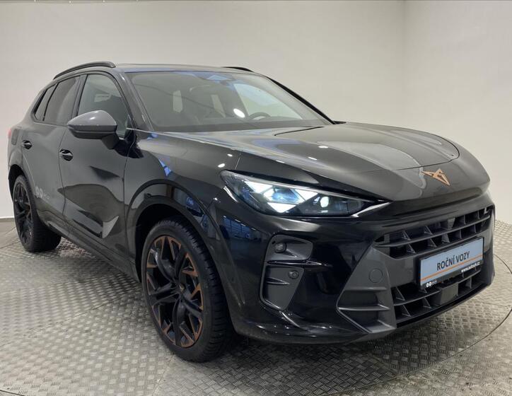 Cupra Terramar 25