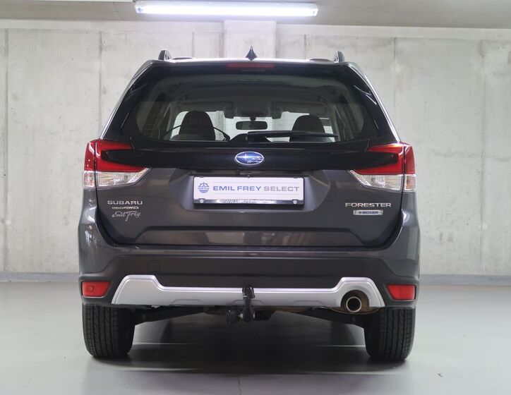 Subaru Forester 6