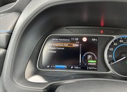 Nissan Leaf 30