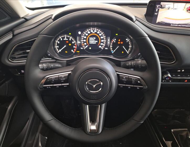 Mazda CX-30 9