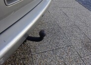 Volkswagen Multivan 18