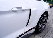 Ford Mustang 49