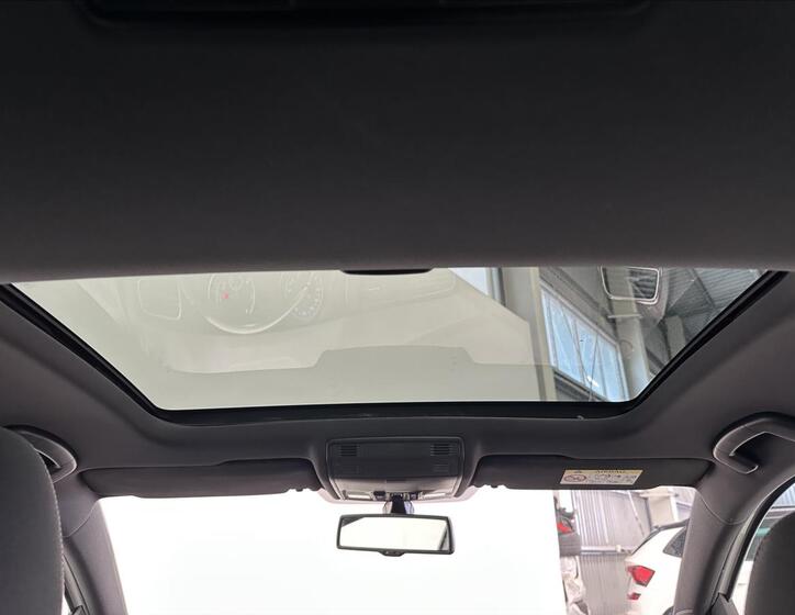 Volkswagen Golf 19