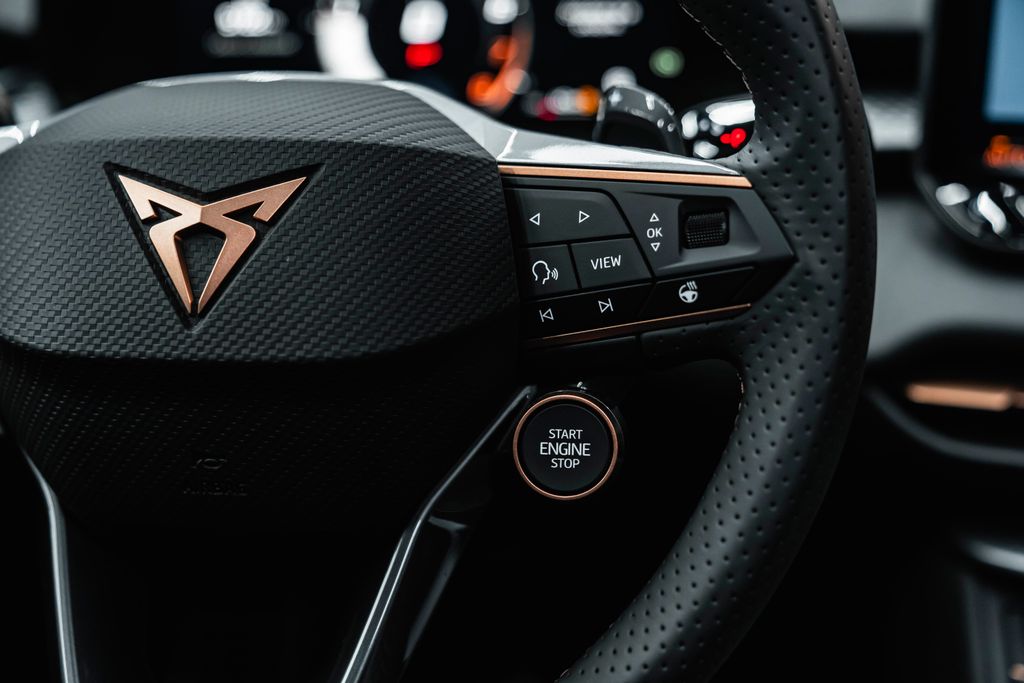 Cupra Ostatní