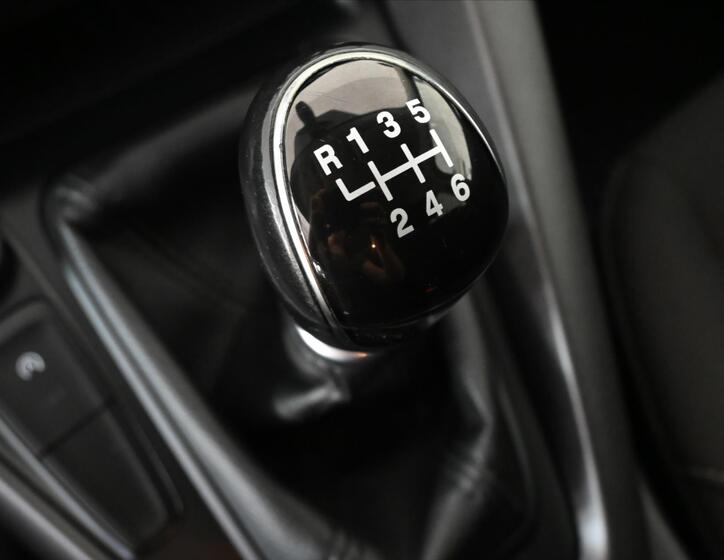 Ford Focus 21