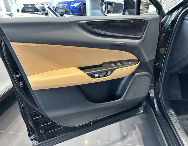 Lexus NX 450h plus 9