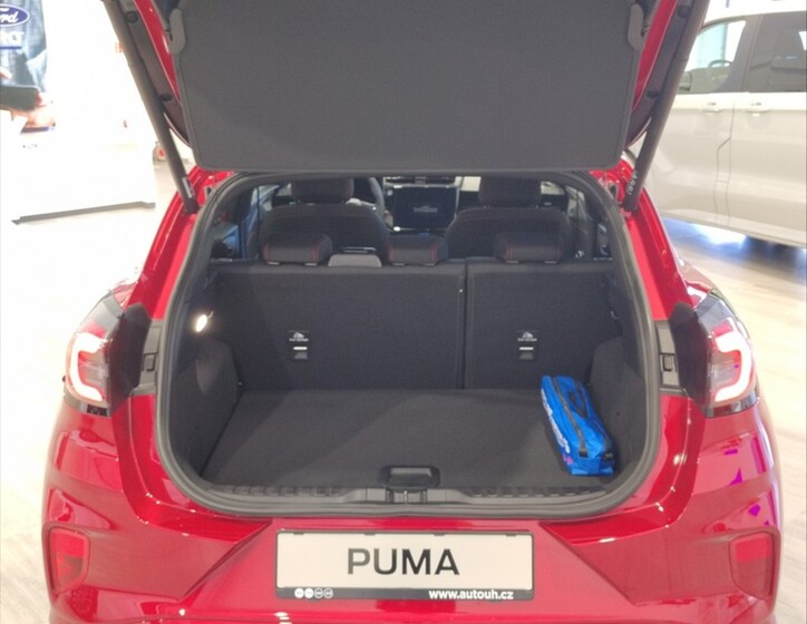 Ford Puma 17