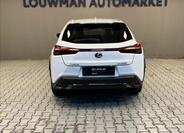 Lexus UX 250h 12