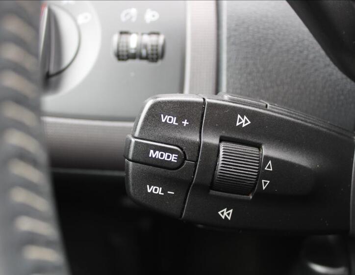 Seat Ibiza 22