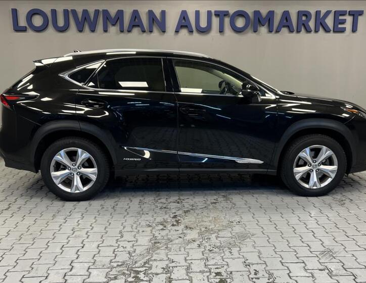 Lexus NX 300h 14