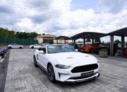 Ford Mustang 21