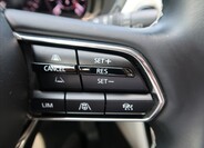 Mazda CX-60 19