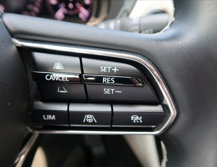 Mazda CX-60 19