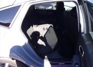 Honda Civic 11