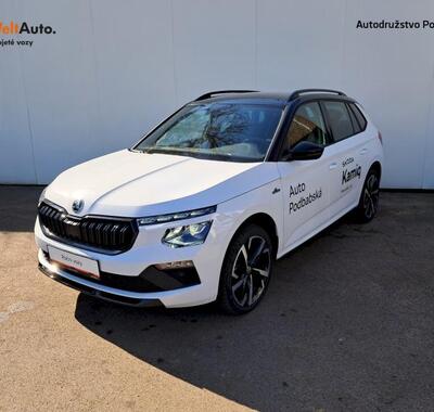 Škoda Kamiq 1