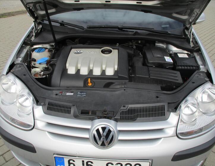 Volkswagen Golf 19