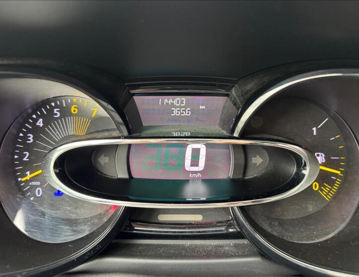 Renault Clio 17