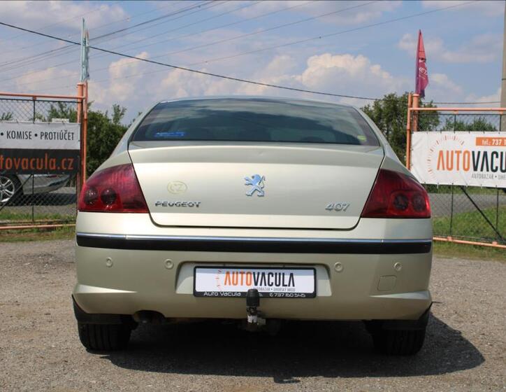 Peugeot 407 6
