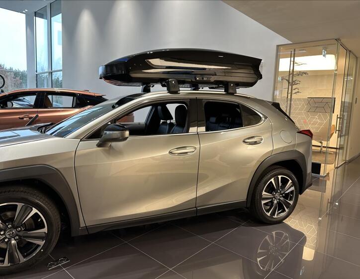 Lexus UX 250h 3