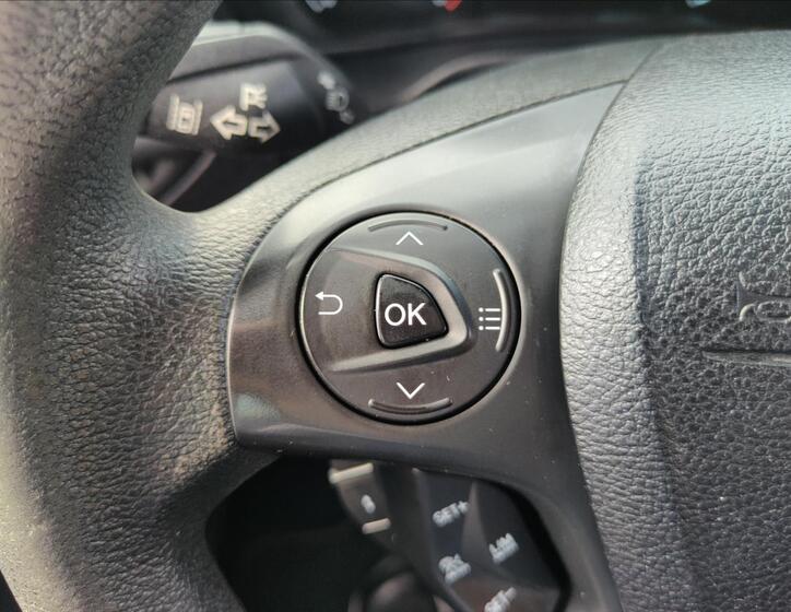 Ford Tourneo Connect 25