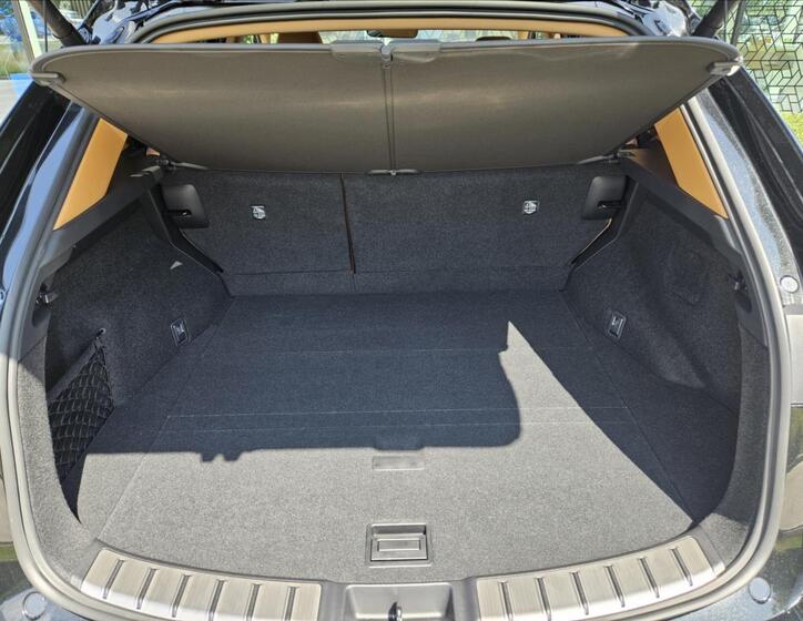 Lexus NX 450h plus 12